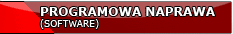 Programowa naprawa